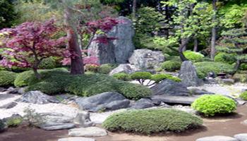 Australian Hypnosis - Garden Australian Hypnosis - Garden